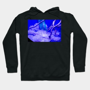 Upside-down jellyfish in blue ligh Hoodie